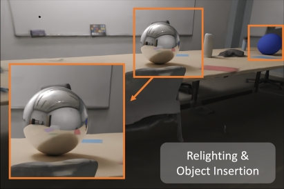 CVPR 2025 IRIS